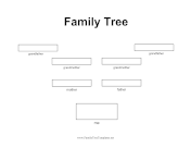 3 Generation Plain Family Tree