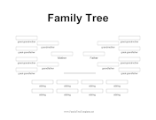 4 Generation Family Tree Many Siblings Plain