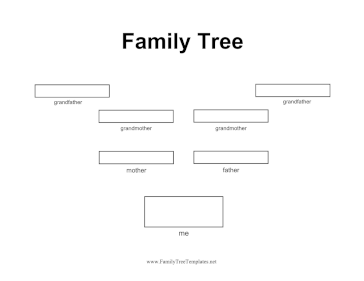 3 Generation Plain Family Tree  Template