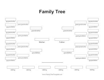 6 Generation Plain Family Tree  Template